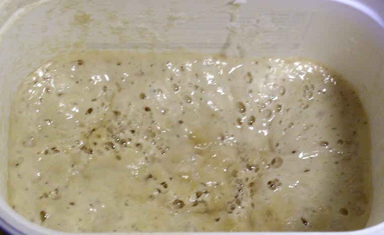 Photo de la recette « Levain au yaourt »