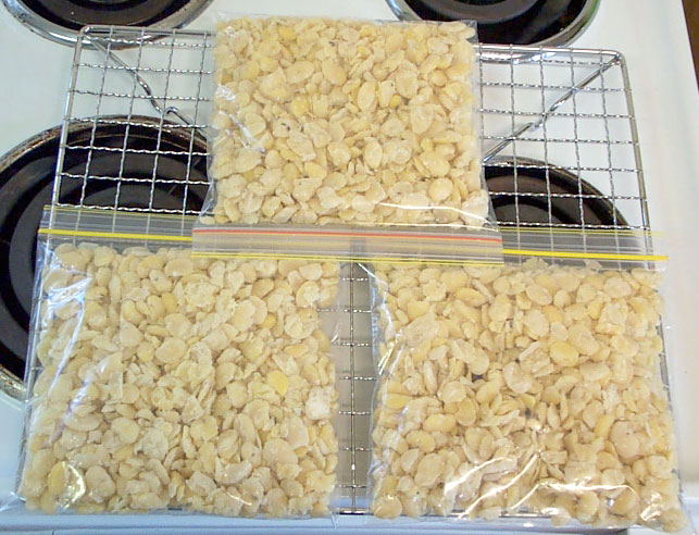 Photo de la recette « Tempeh maison »