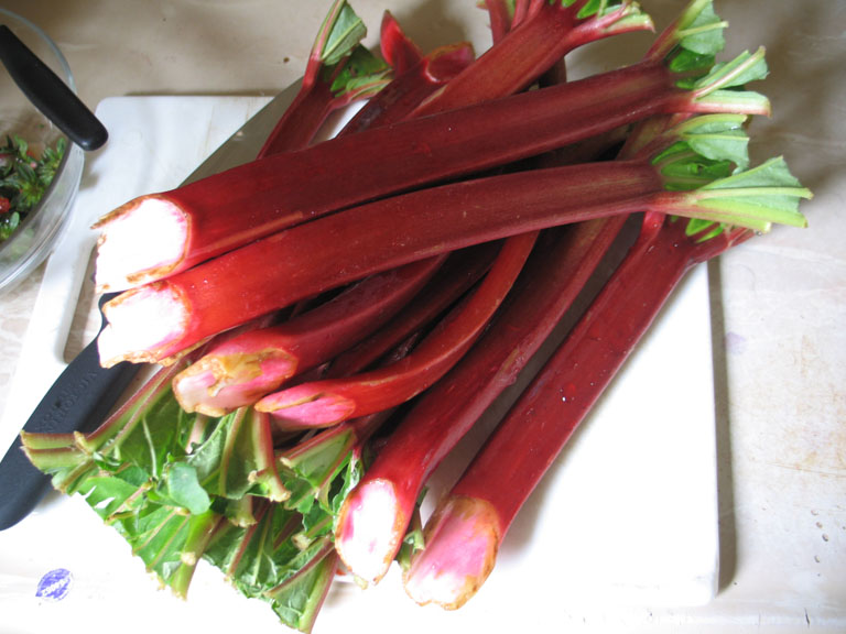 Photo de la recette « Tarte à la rhubarbe »