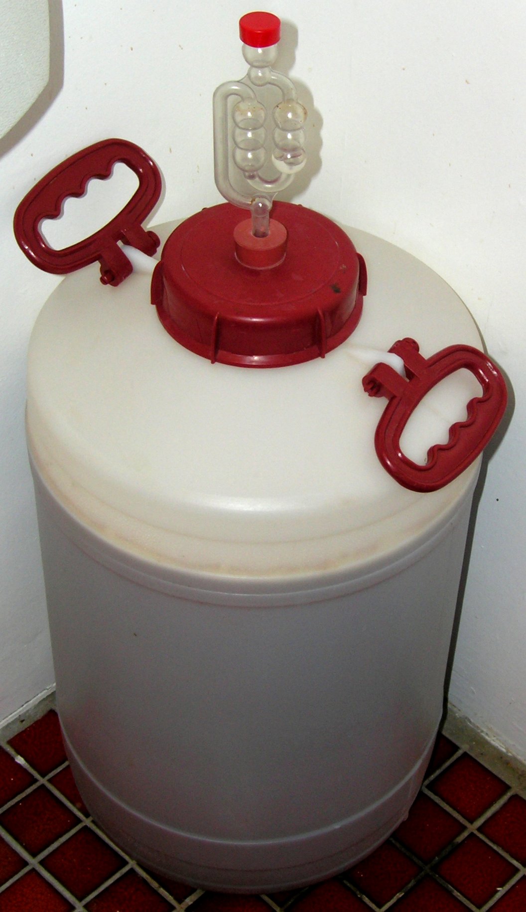 Photo de la recette « Hydromel maison »