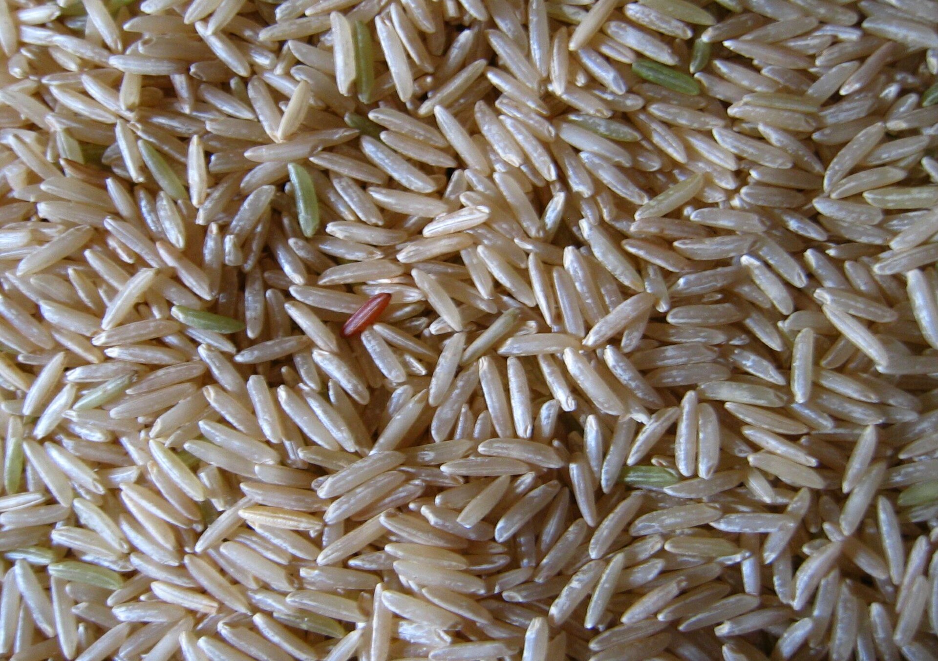Photo de la recette « Riz basmati à la vapeur »