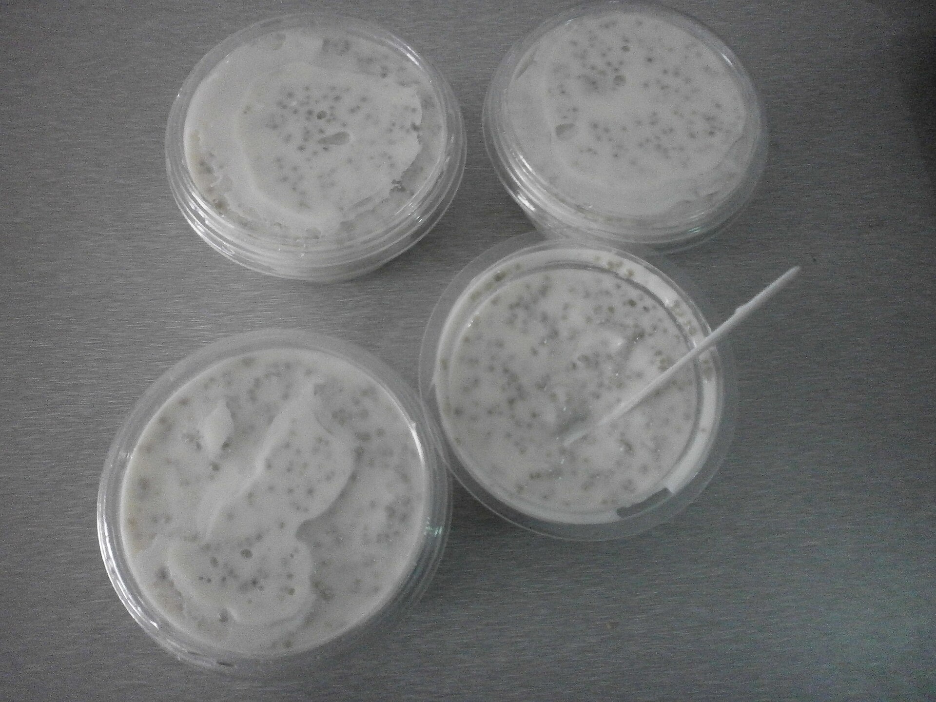 Photo de la recette « Déguê »