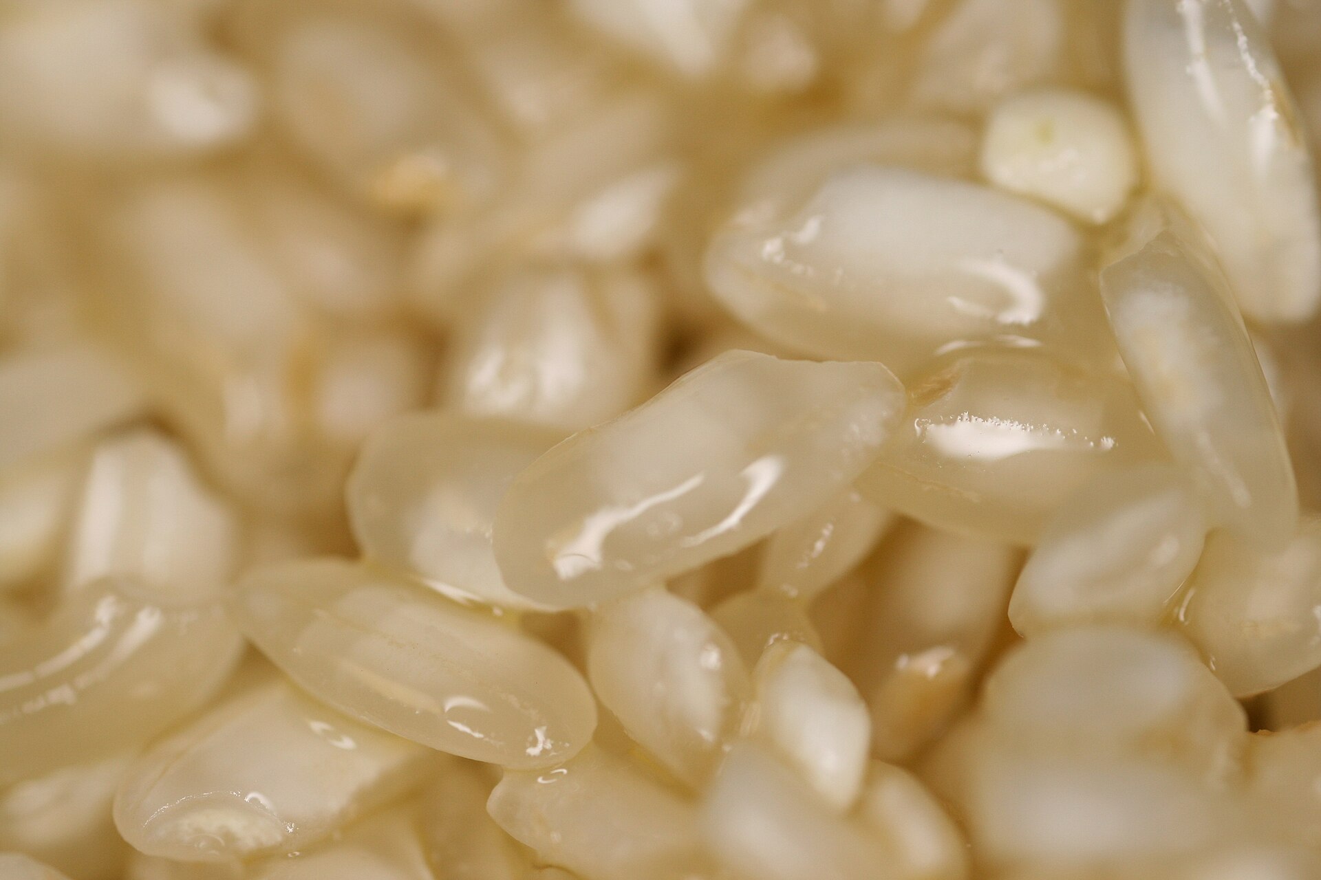 Photo de la recette « Risotto »
