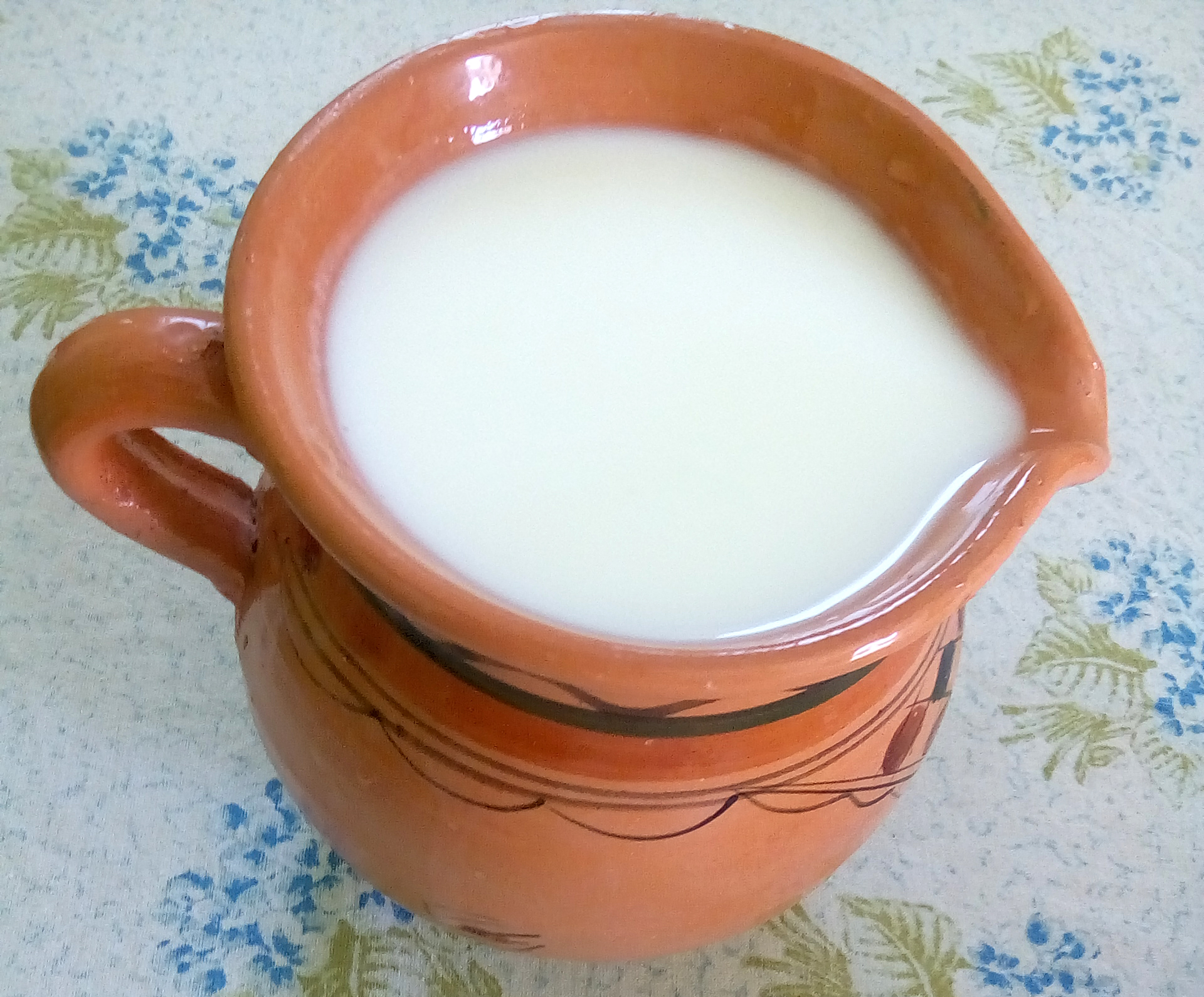 Photo de la recette « Leben (lait fermenté du Moyen-Orient) »