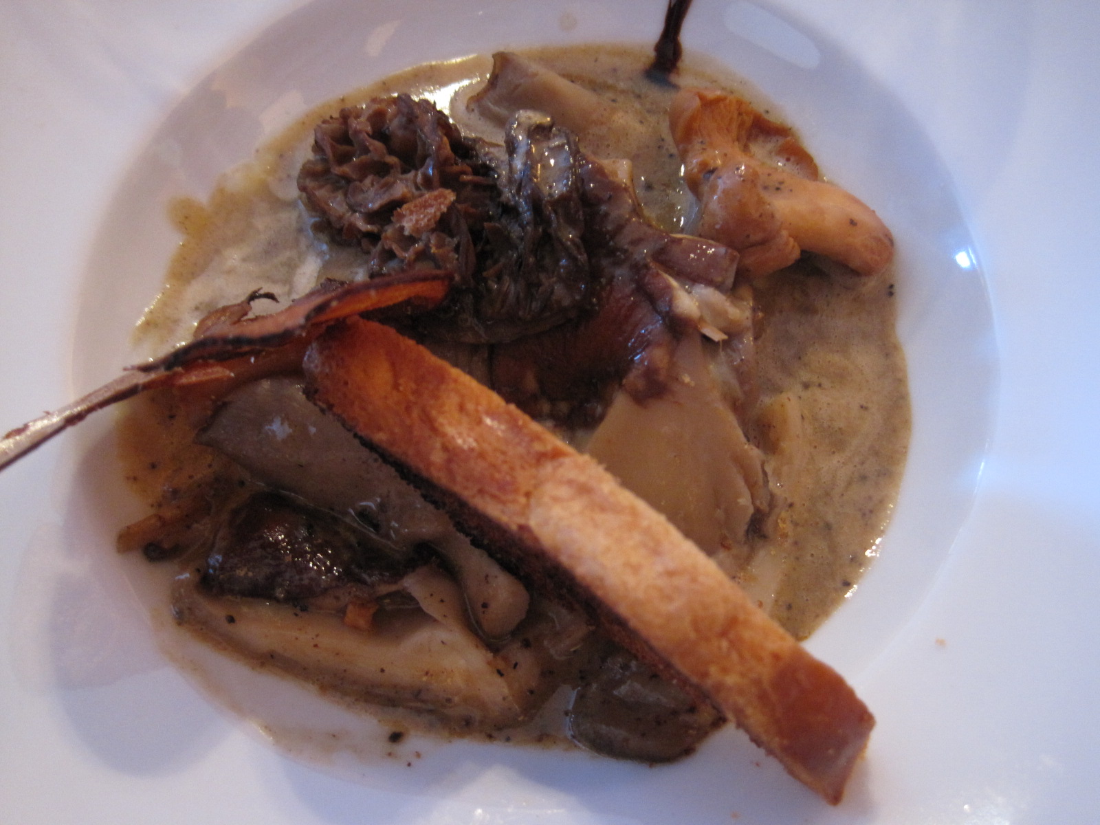 Photo de la recette « Croûte aux champignons »